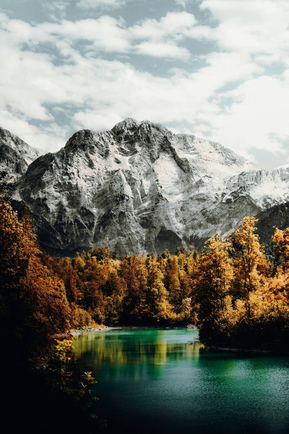 Golden larch above a green lake
