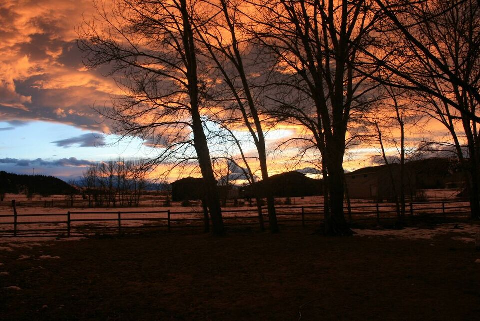 A fence line and bare trees at sunset
