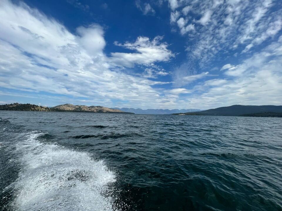 A boat wake on open water